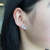 Zircon Studs
